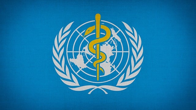 Die Ausgaben der WHO – nur zehn Prozent für Gesundheit